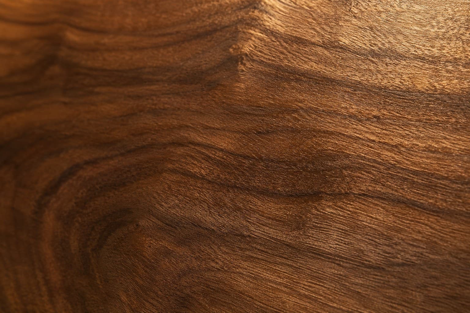 Texture Noyer Victoria
